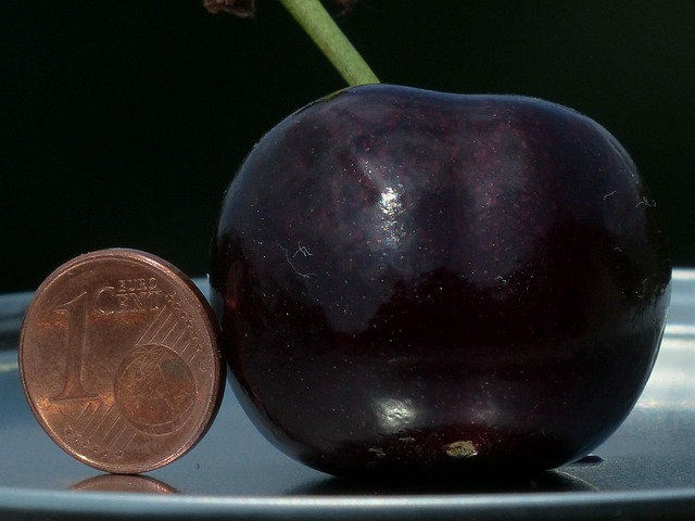 comparison