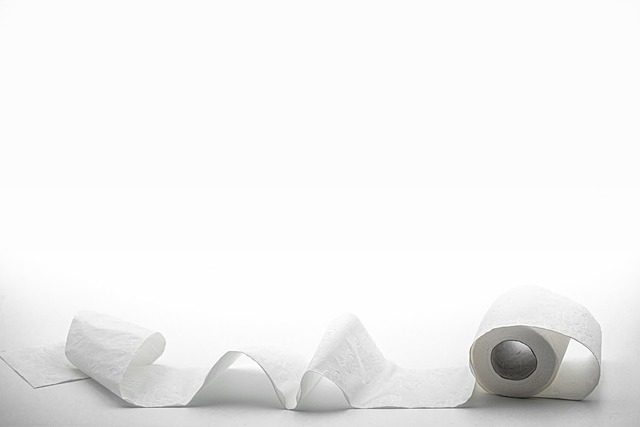toilet paper